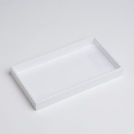 PLASTIC TRAY